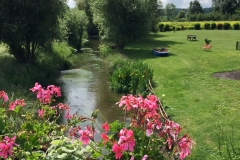 image14